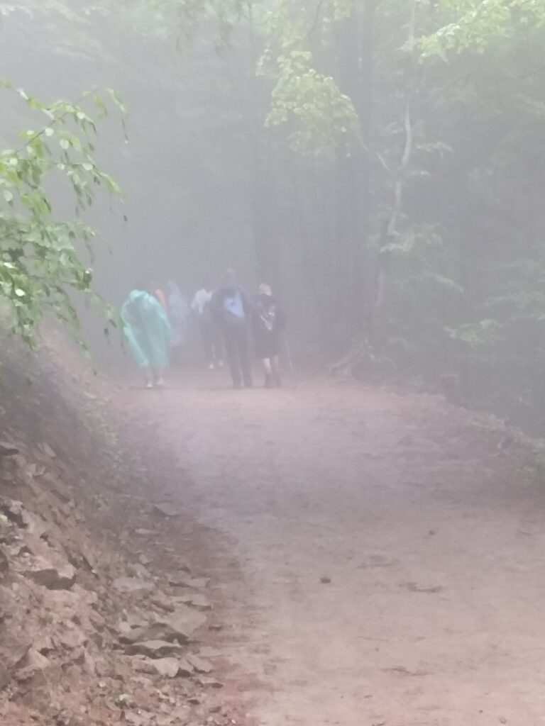 img20230607123501