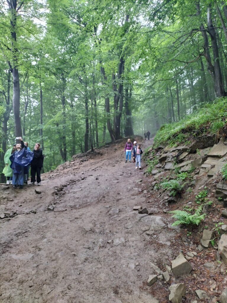 img20230607124216